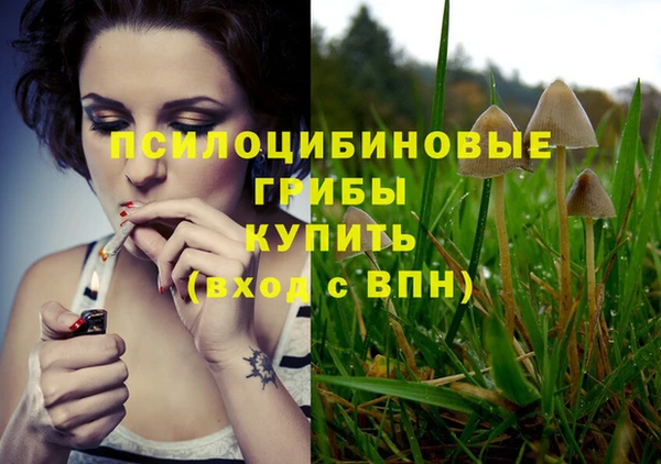 ешки Алексеевка