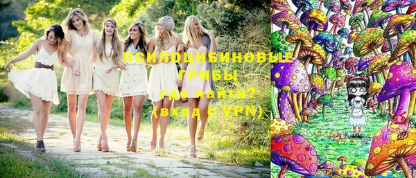 ешки Алексеевка